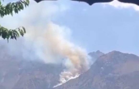 A fire broke out in the Burchmullo forestry in the Bostanlyk district: work is underway to eliminate