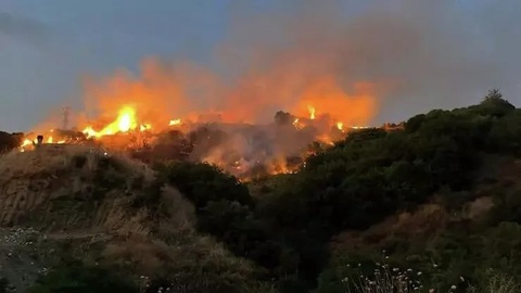Turkiyada erkak kana tufayli o'rmonga o't qo'ydi