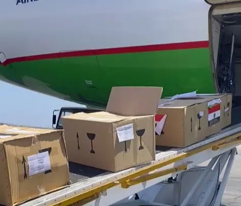 Египеттен Өзбекстанға С гепатитине қарсы дәрилердиң екинши партиясы алып келинди