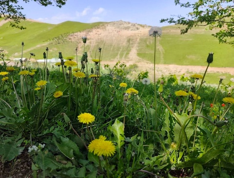 Прогноз погоды на день 26 апреля