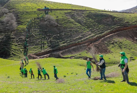 В Узбекистане установлен порядок присвоения статуса «Экоактивный гражданин»