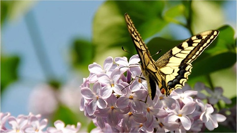 Прогноз погоды на день 14 апреля