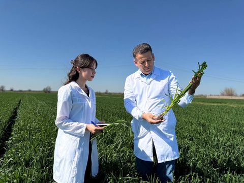 Турақлы аграр билимлендириў: Жаслар бәнтлигин тәмийинлеўде нәтийжели механизм