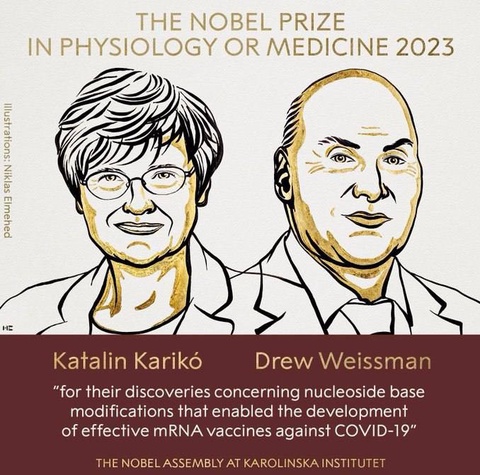 Лауреатами Нобелевской премии по физиологии и медицине в 2023 году стали Каталин Карико  и Дрю Вайсман
