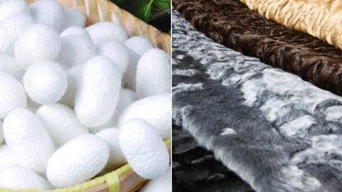 Bojxona chegarasi orqali ipak chiqindilari va xom ipakning olib chiqilishi monitoring qilinadi