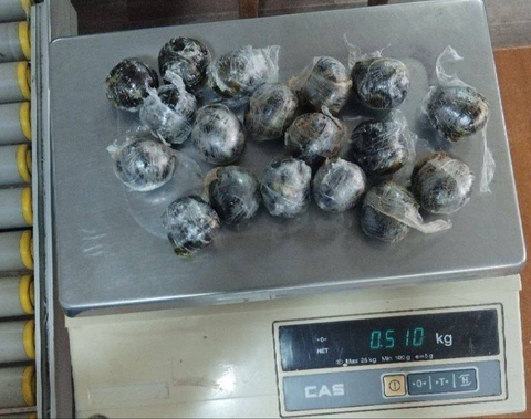 Через курьерские отправления пытались переслать почти 1 кг гашиша - нарушители задержаны