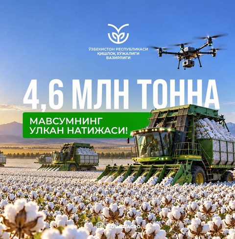 В Узбекистане собрали 4,63 млн тонн хлопка - план выполнен на 103%