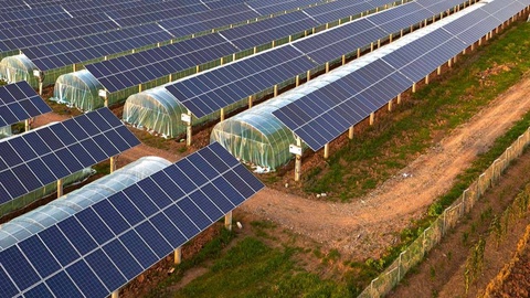 Агроэлектрический солнечный парк