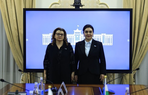 Senatda BMT Aholishunoslik jamg‘armasi (UNFPA) vakillari bilan uchrashuv bo‘lib o‘tdi