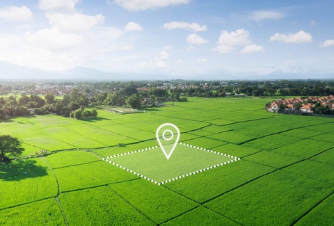 В Узбекистане изменен порядок предоставления земельных участков сельскохозяйственного назначения в аренду