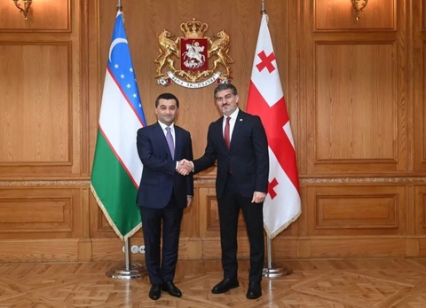 Бахтиёр Саидов Грузия Президентімен кездесті