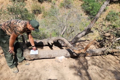 "Омонқўтон" миллий табиат боғида ноёб турдаги дарахтлар кесиб ташлангани аниқланди