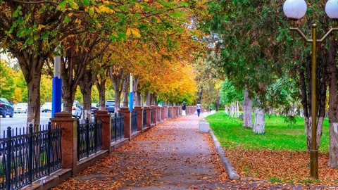 Oʻzbekistonda dam olish kunlari qanday ob-havo kutilmoqda?