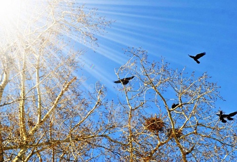 Прогноз погоды на день 4 февраля