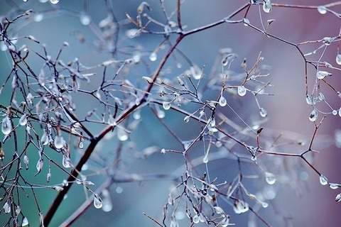 Дем алыс күни қандай ҳаўа-райы күтиледи?