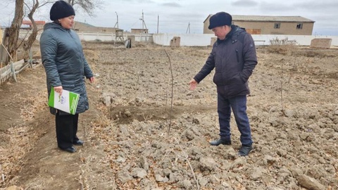 Жәмийетлик қадағалаў илажлары даўам етпекте