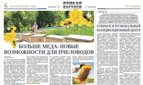 Больше меда: новые возможности для пчеловодов