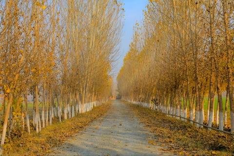 2025-yil dekabr oyida qanday ob-havo kutilmoqda?