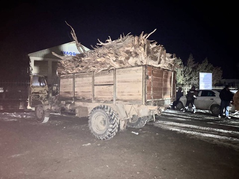 Пресечена незаконная вырубка саксаула