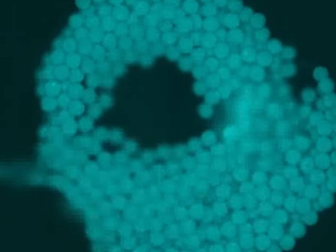 Ҳужайраларни “назорат қиладиган” микророботлар ихтиро қилинди