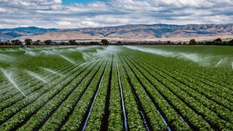 Эффективно используя землю, экономя водные ресурсы