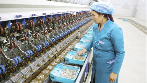 Акселератор мирового шелководства