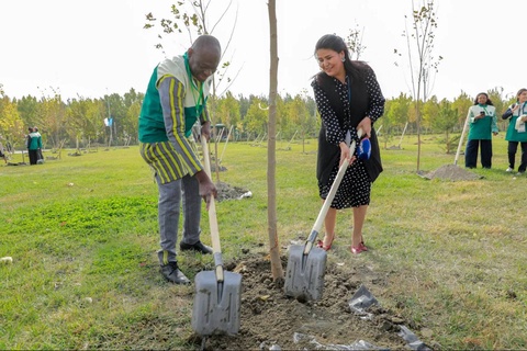 В Самарканде создается «Зеленый сад» в честь 80-летия ЮНЕСКО