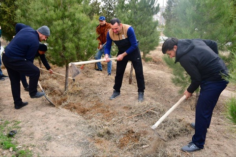 Весна начинается с благоустройства