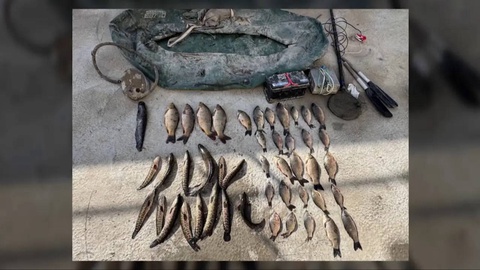 В Сырдарьинской области выявлен незаконный вылов рыбы: ущерб природе превысил 500 млн сумов