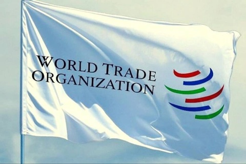 Жамшид Қўчқоров: жаҳон савдо ташкилоти — адолатли савдо тизими