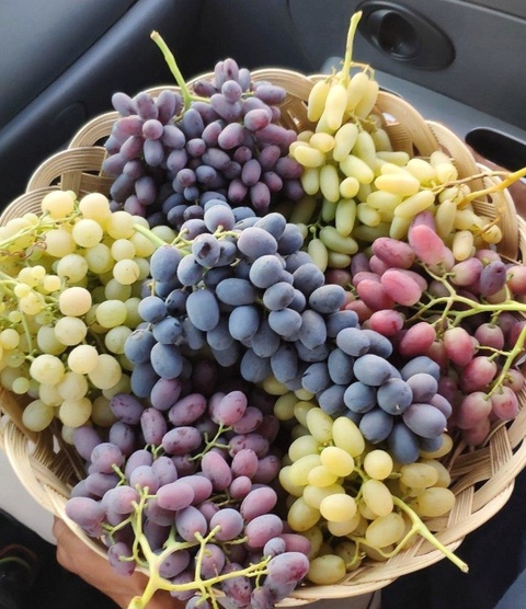 Узум нархи билан боғлиқ хабарларга вазирлик нима дейди?