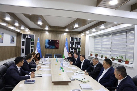 От образования к международному рынку труда