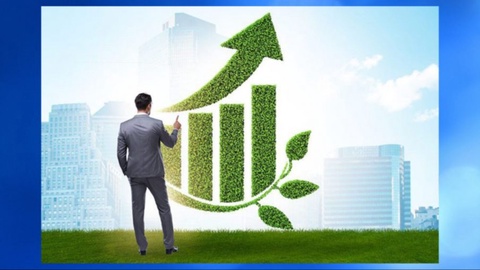 Oʻzbekistonda “yashil iqtisodiyot” fondi tashkil etilishi mumkin