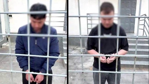 Boʻstonliqda mushuk bolalariga nisbatan shafqatsizlik qilgan shaxslarga hukm chiqarildi