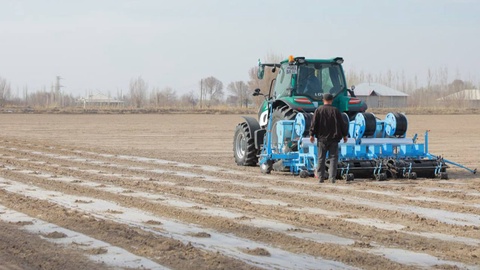 Әмиўдәрья районында шигит егиси басланды