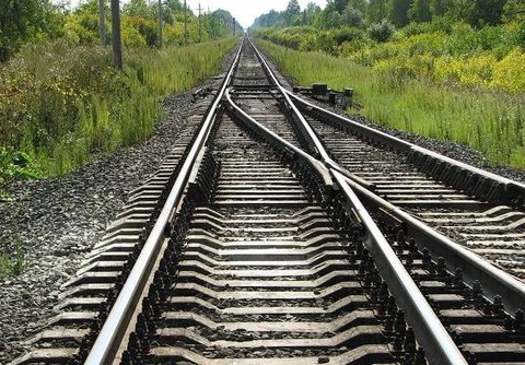 В Чиназском районе с рельсов сошли два вагона грузового поезда