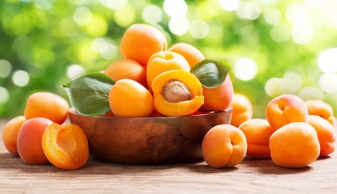 Uzbekistan exported apricots to 14 countries