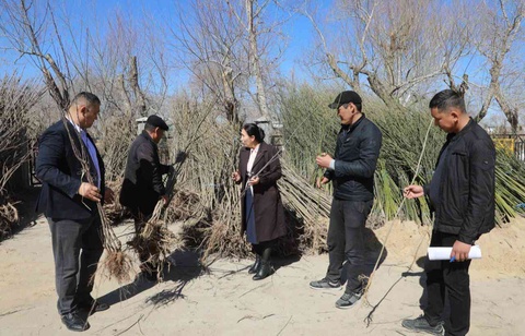 Мәҳәллелердеги арзанластырылған нәл ярмаркалары