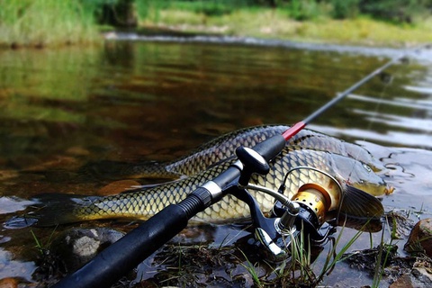 Yurtimizdagi turli daryolar va suv havzalarida baliq ovlash taqiqlanmoqda