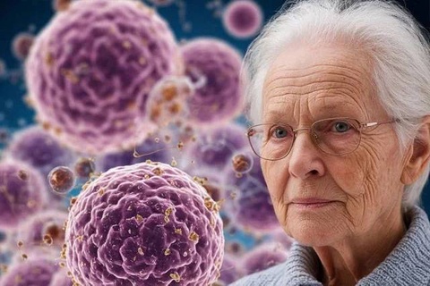 Британские ученые нашли способ заставить стареющие клетки самоуничтожаться