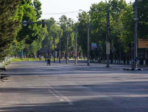 Ташкентте «Автомобильсіз күн» шарасы өтеді