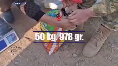 Сурхондарё ва Тошкентда гиёҳвандлик воситаларининг ноқонуний айланмаси фош этилди