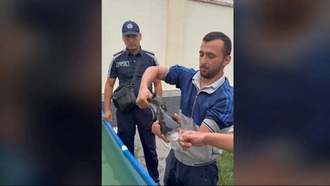 В Фергане вместо акулы в подвале многоквартирного дома обнаружили сиамского сома