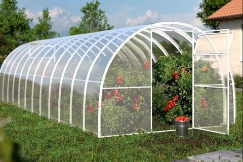 Fanlar akademiyasi olimlari issiqxonalar uchun yangi yechim taklif etmoqda