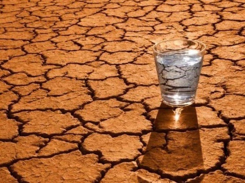 53 елде тіркелген аурулардың 15 пайызы экологиялық проблемалардан туындайды