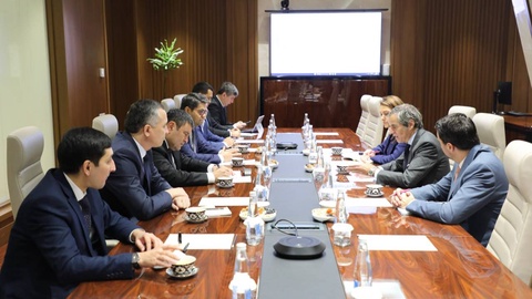 The Ministry of Energy of Uzbekistan held a meeting with the Director General of the IAEA