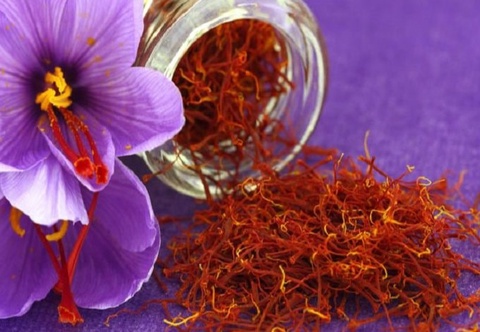 Өзбекстанда шафран кептіретін және қайта өңдейтін кәсіпорын ашылады