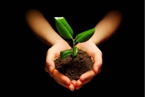 Бош консулхона фуқароларни огоҳликка чақирди