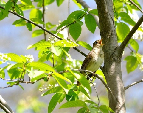 Прогноз погоды на день 1 апреля