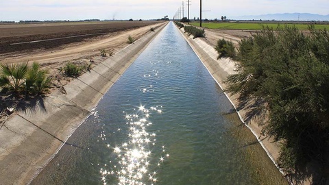 Aquatic Code will be developed